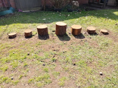 Balancing Logs